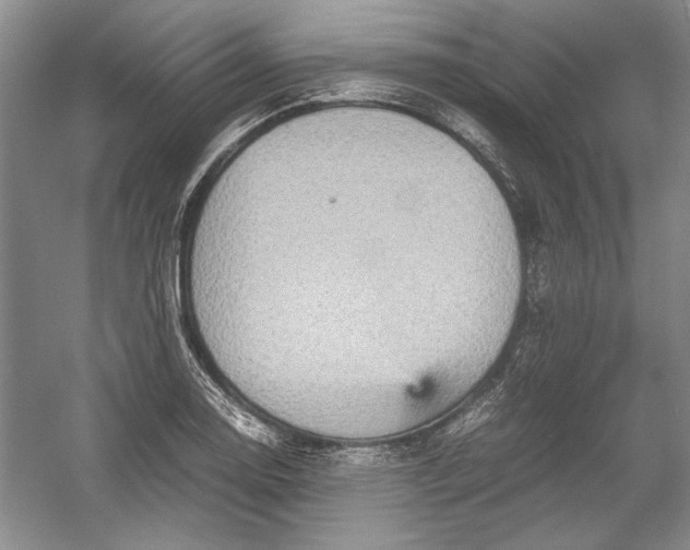 X0000054371130200508191839