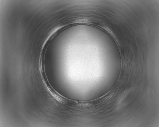 X0000054371131200508191839