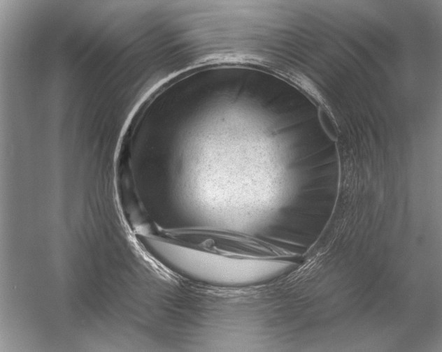 X0000054371132200508191839