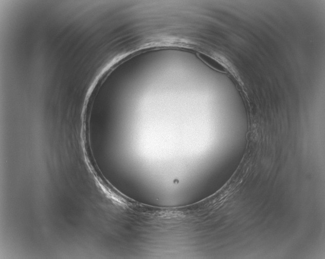 X0000054371136200508191839