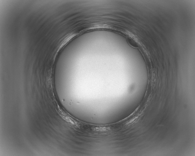 X0000054371137200508191839