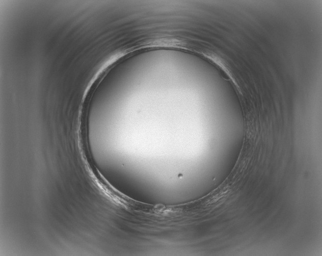 X0000054371139200508191839