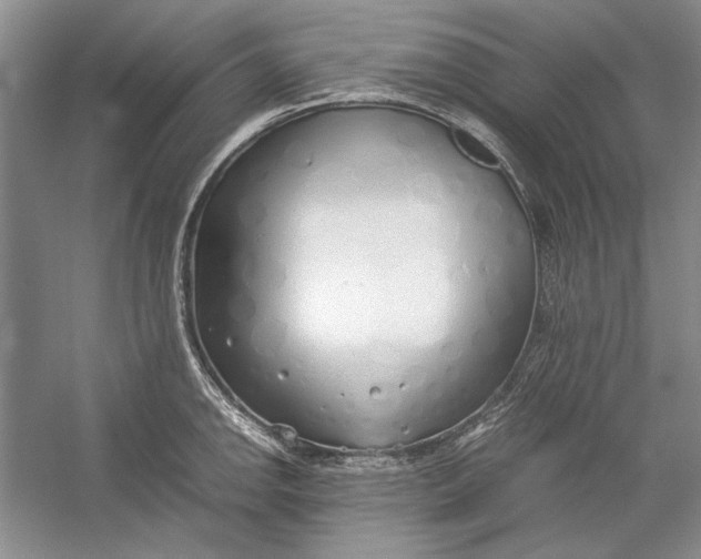 X0000054371142200508191839