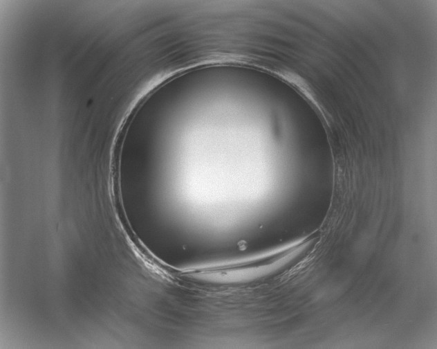 X0000054371143200508191839