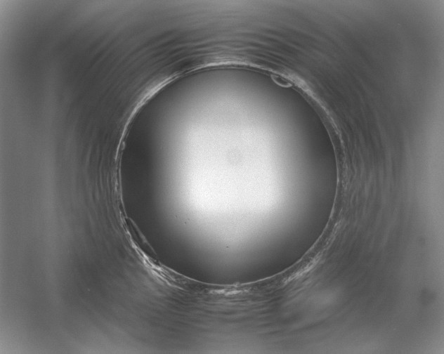 X0000054371145200508191840