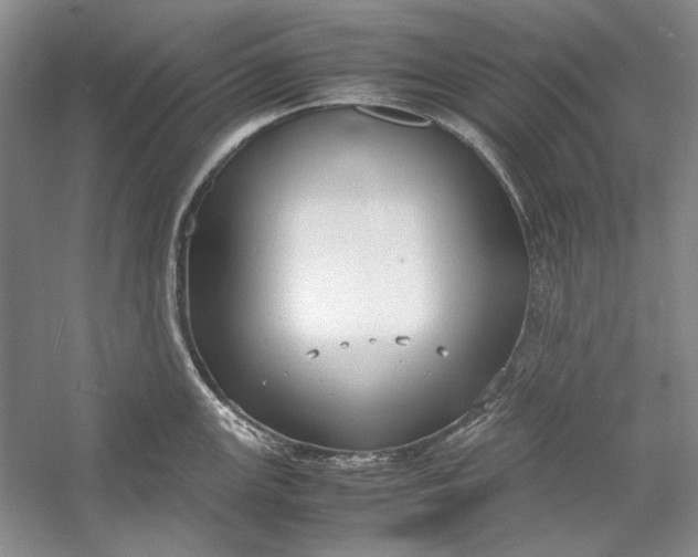 X0000054371147200508191840