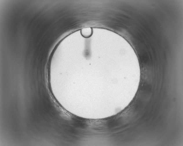 X0000054371150200508191840