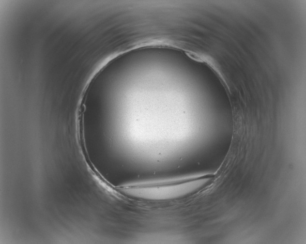 X0000054371151200508191840