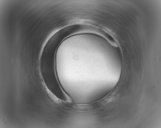 X0000054371152200508191840