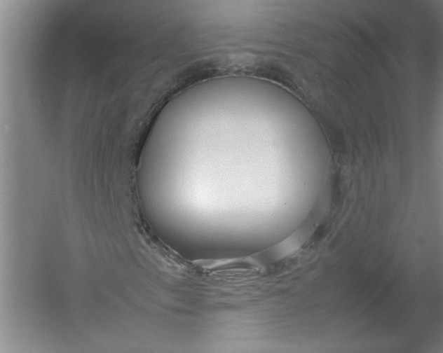 X0000054371153200508191839