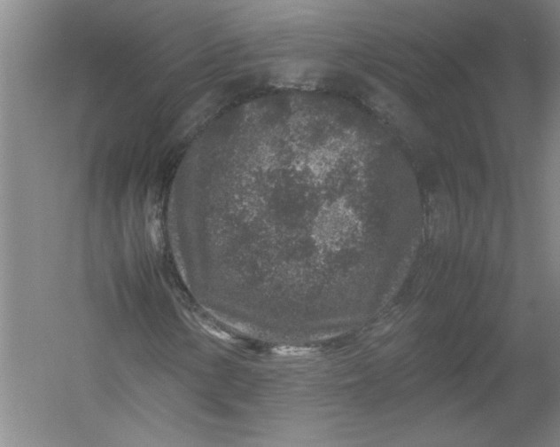 X0000054371154200508191839