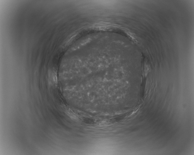 X0000054371155200508191839