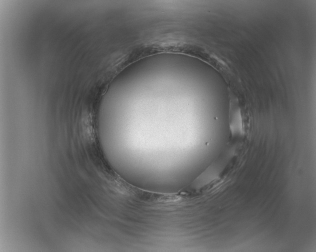 X0000054371156200508191839