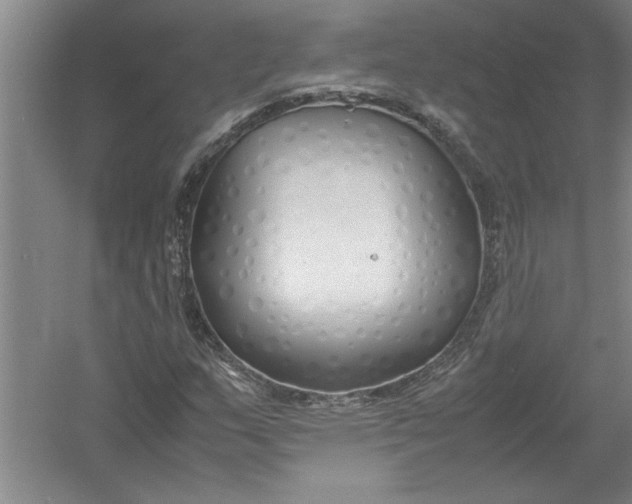 X0000054371159200508191839