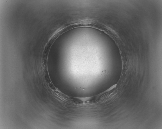 X0000054371160200508191839