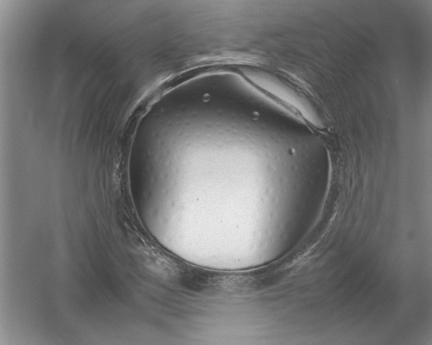 X0000054371163200508191839