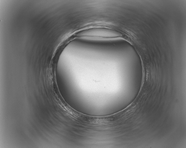 X0000054371164200508191839