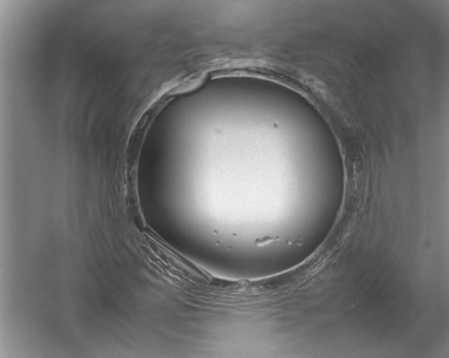 X0000054371165200508191839