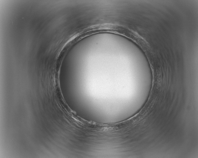 X0000054371166200508191839