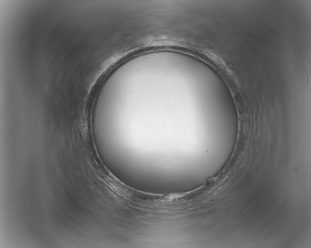 X0000054371167200508191839