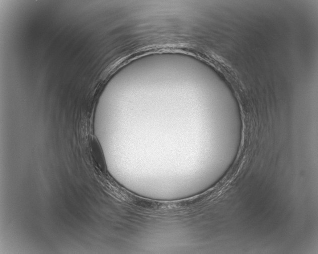 X0000054371169200508191839