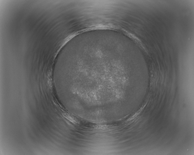 X0000054371170200508191839