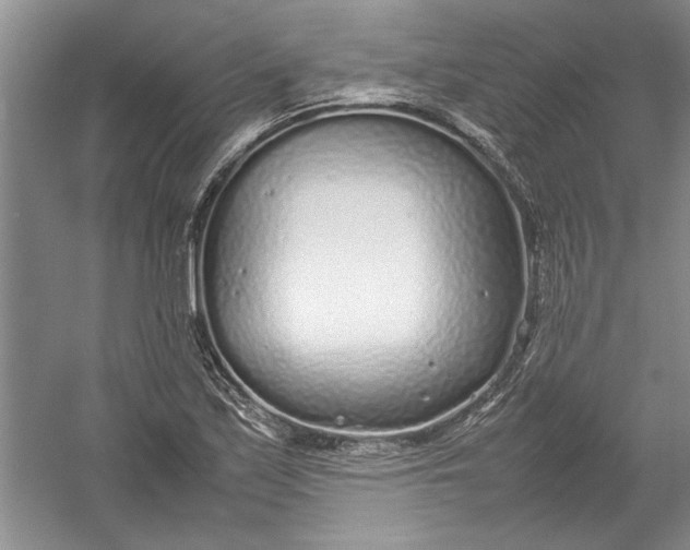 X0000054371171200508191839