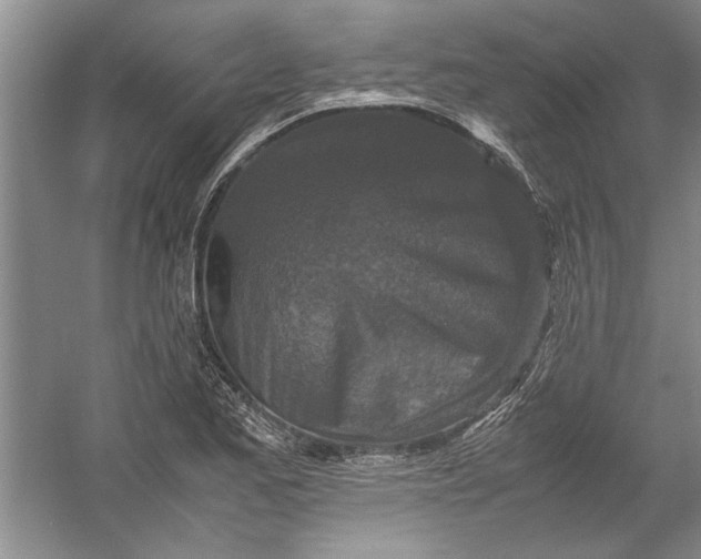 X0000054371173200508191838