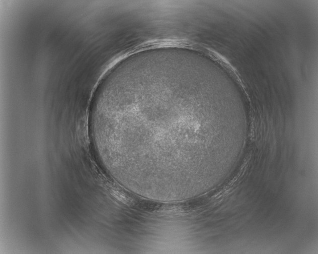 X0000054371174200508191838