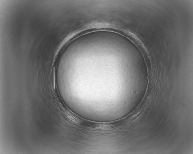 X0000054371175200508191838