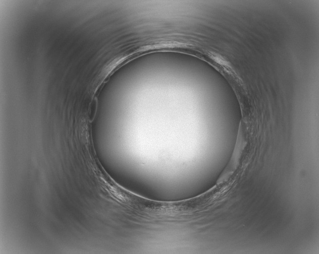 X0000054371177200508191838