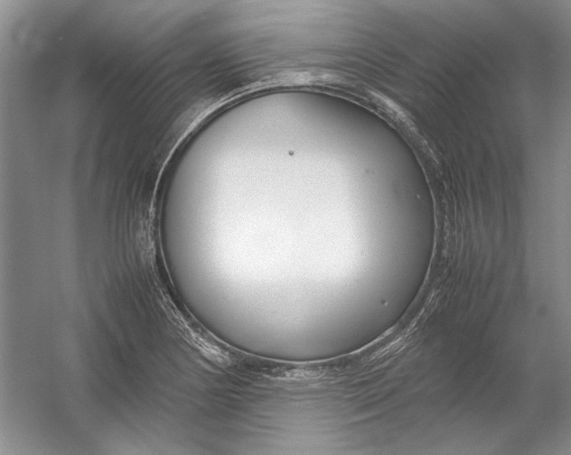 X0000054371178200508191838