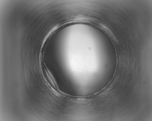 X0000054371180200508191838