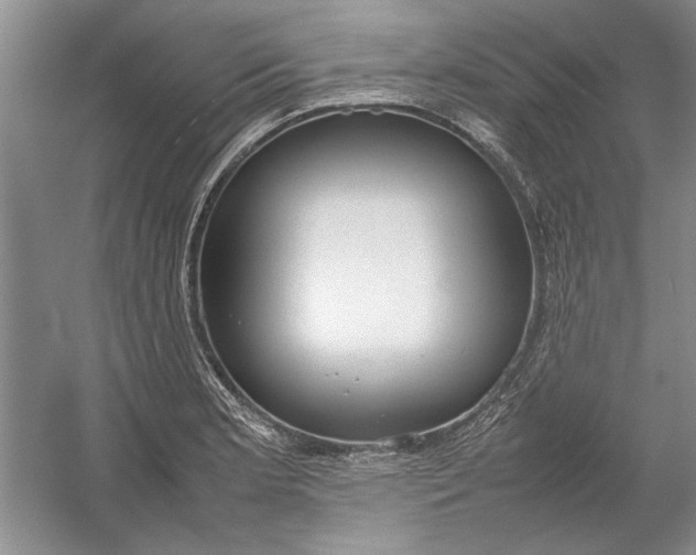 X0000054371181200508191838