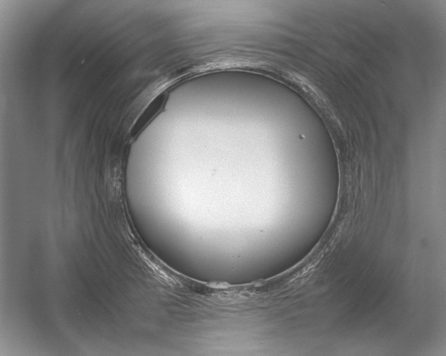 X0000054371185200508191838