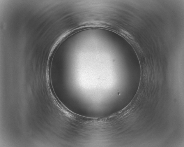 X0000054371188200508191838