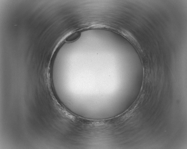 X0000054371190200508191838