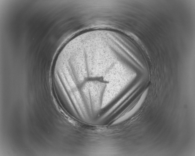 X0000054371191200508191838