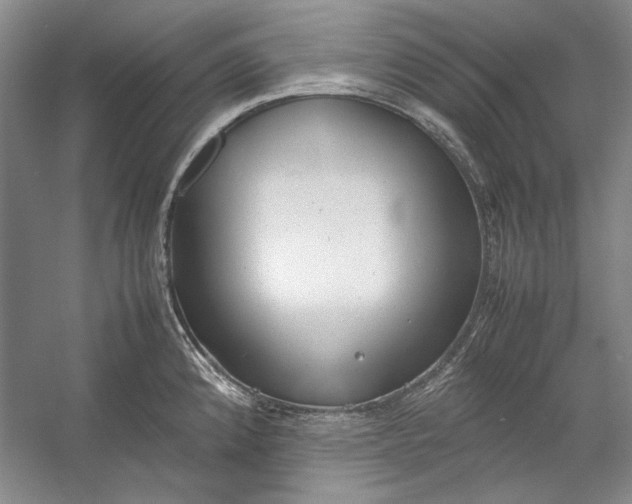 X0000054371192200508191838