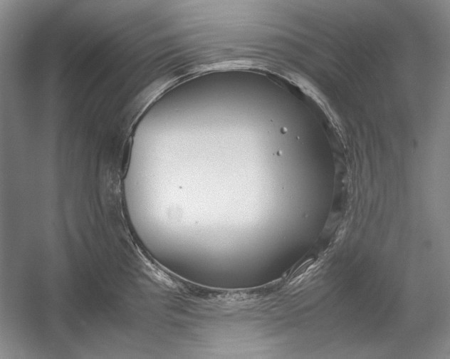 X0000054371193200508191838