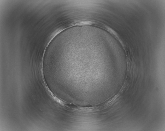 X0000054371194200508191838