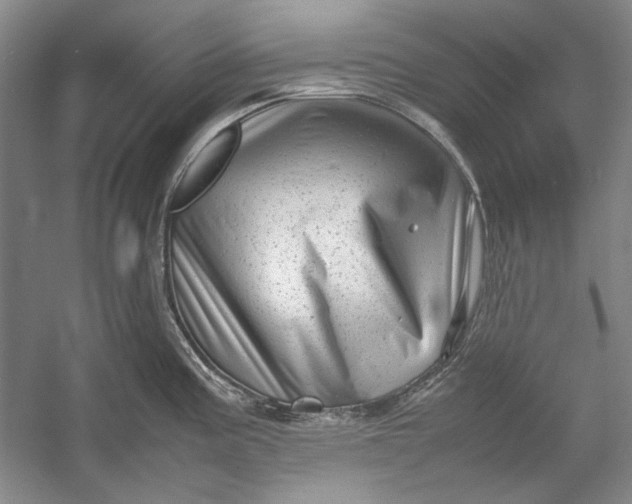 X0000054371195200508191838