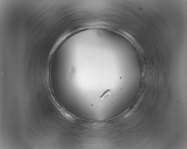 X0000054371196200508191838