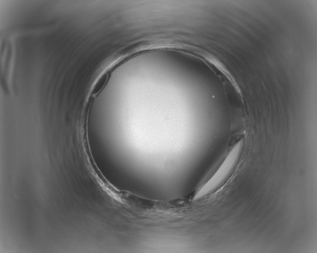 X0000054371197200508191838