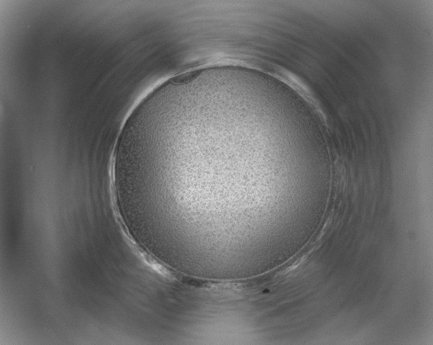 X0000054371198200508191838