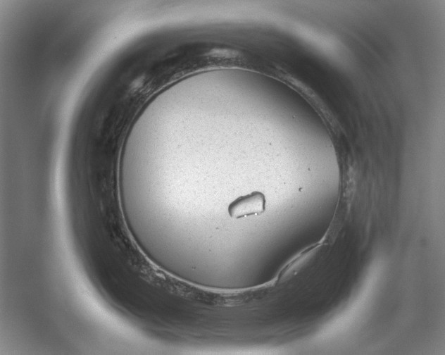 X0000054371199200508191838