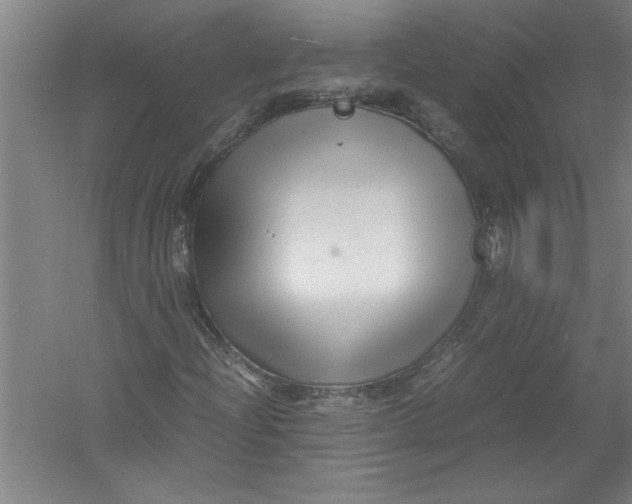 X0000054371204200508191837