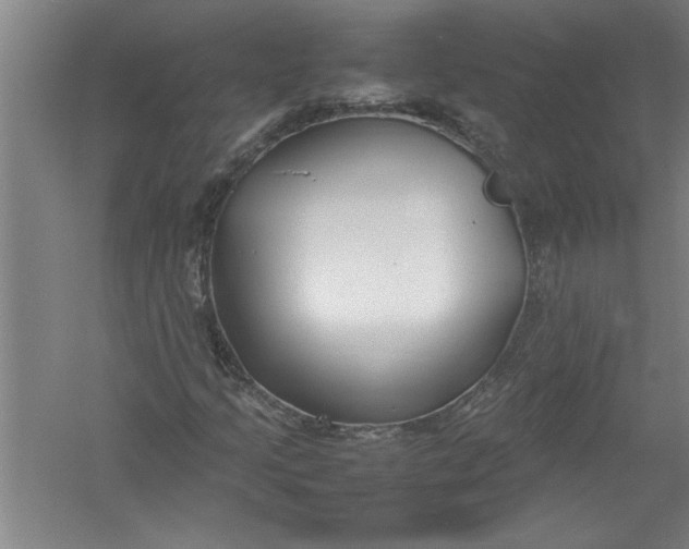 X0000054371205200508191837