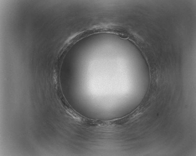 X0000054371206200508191837