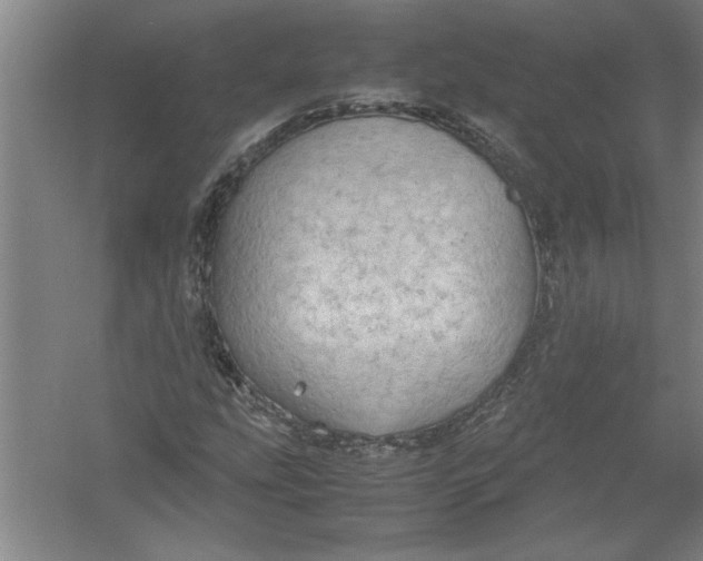 X0000054371207200508191837